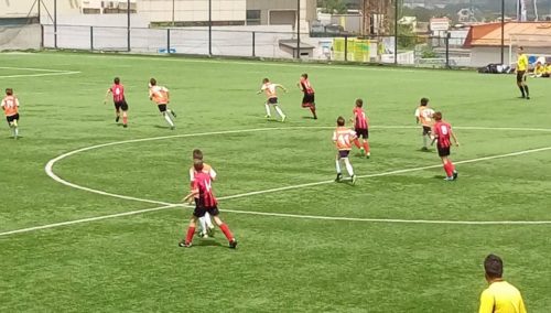 18425433_903464969794755_7421781944786052692_n